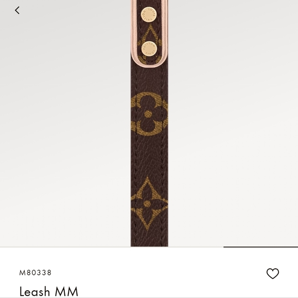 Louis Vuitton MM Monogram Dog Leash and Collar - Picture 12 of 16